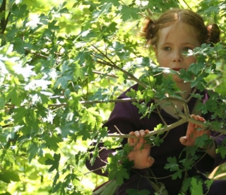  caminamarras por la naturaleza 